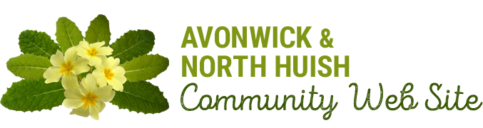 site logo
